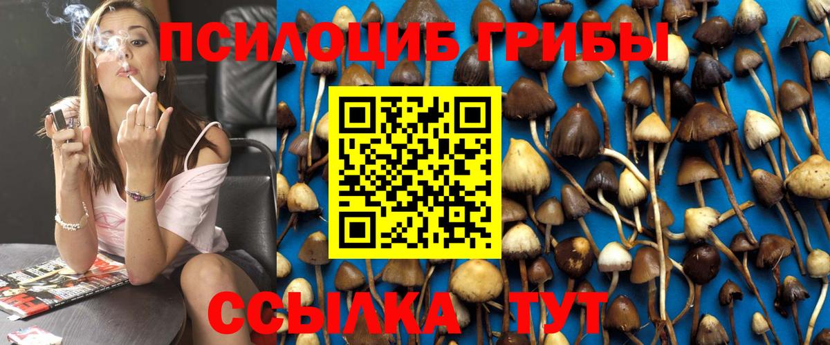 Орск  Галлюциногенные грибы мицелий  сколько стоит  Вход с VPN 